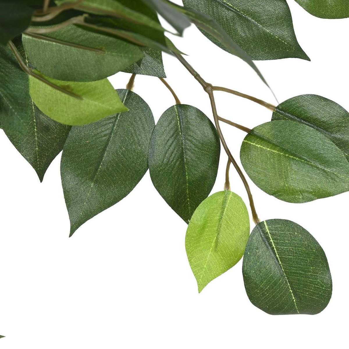 Plante artificielle d'intérieur ficus 56x56x150cm vert, WADIGA