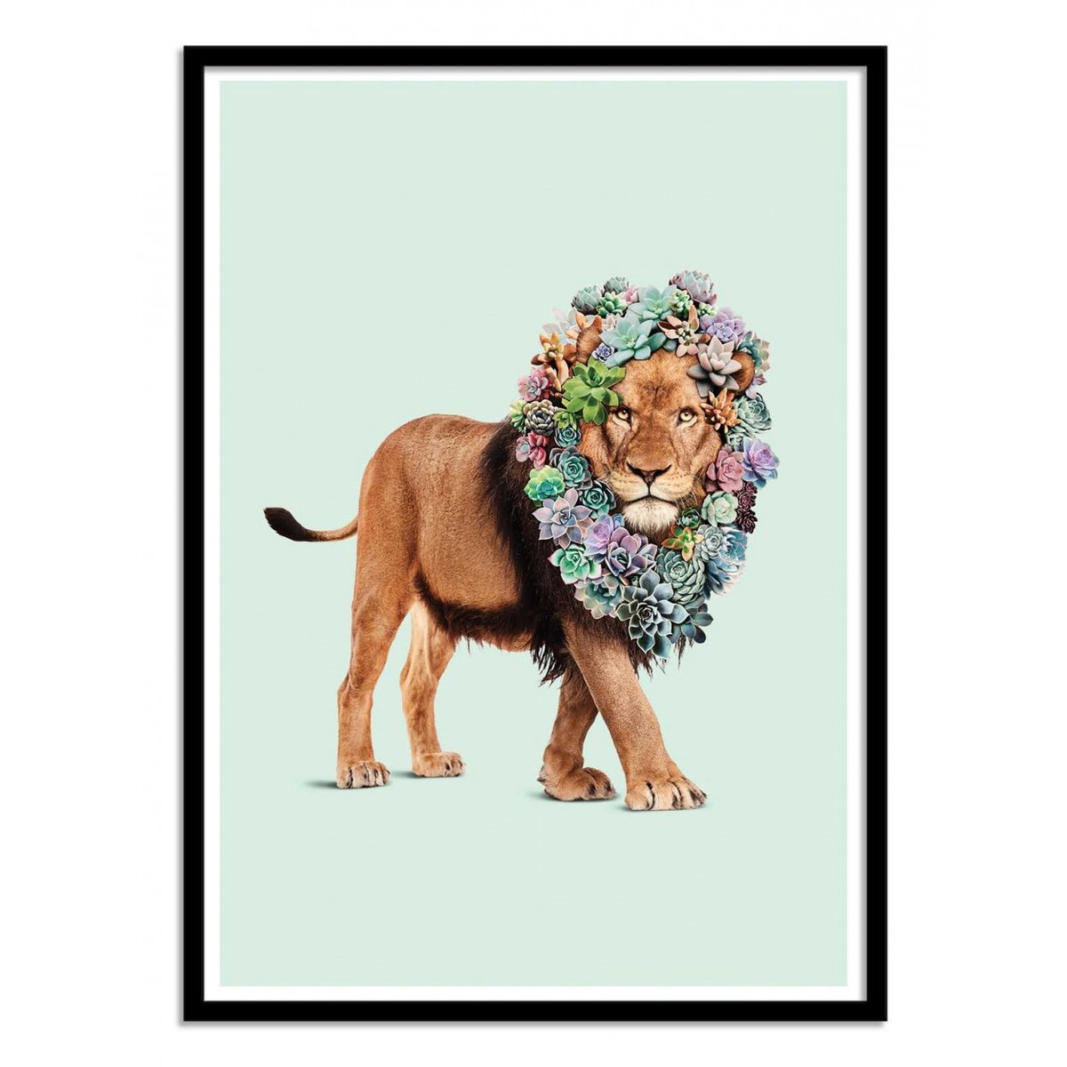 Affiche d'art - Succulent lion - Jonas Loose affiche d'art, WALL EDITIONS