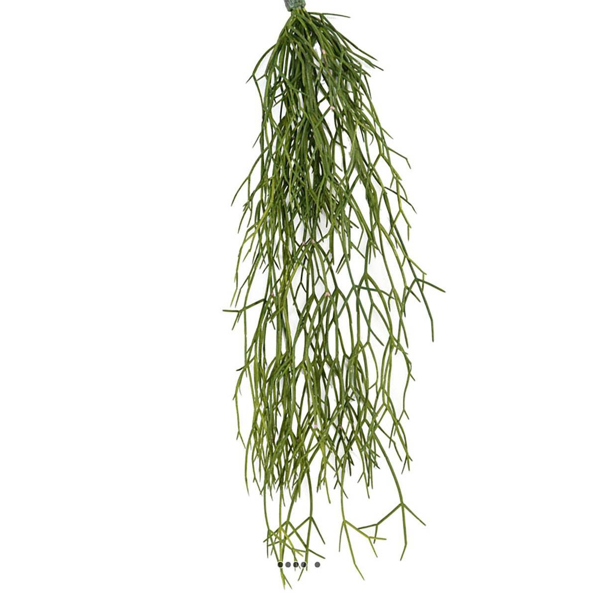 Chute de cactus rhipsalis artificiel L 60 cm v002239, ARTIFICIELLES
