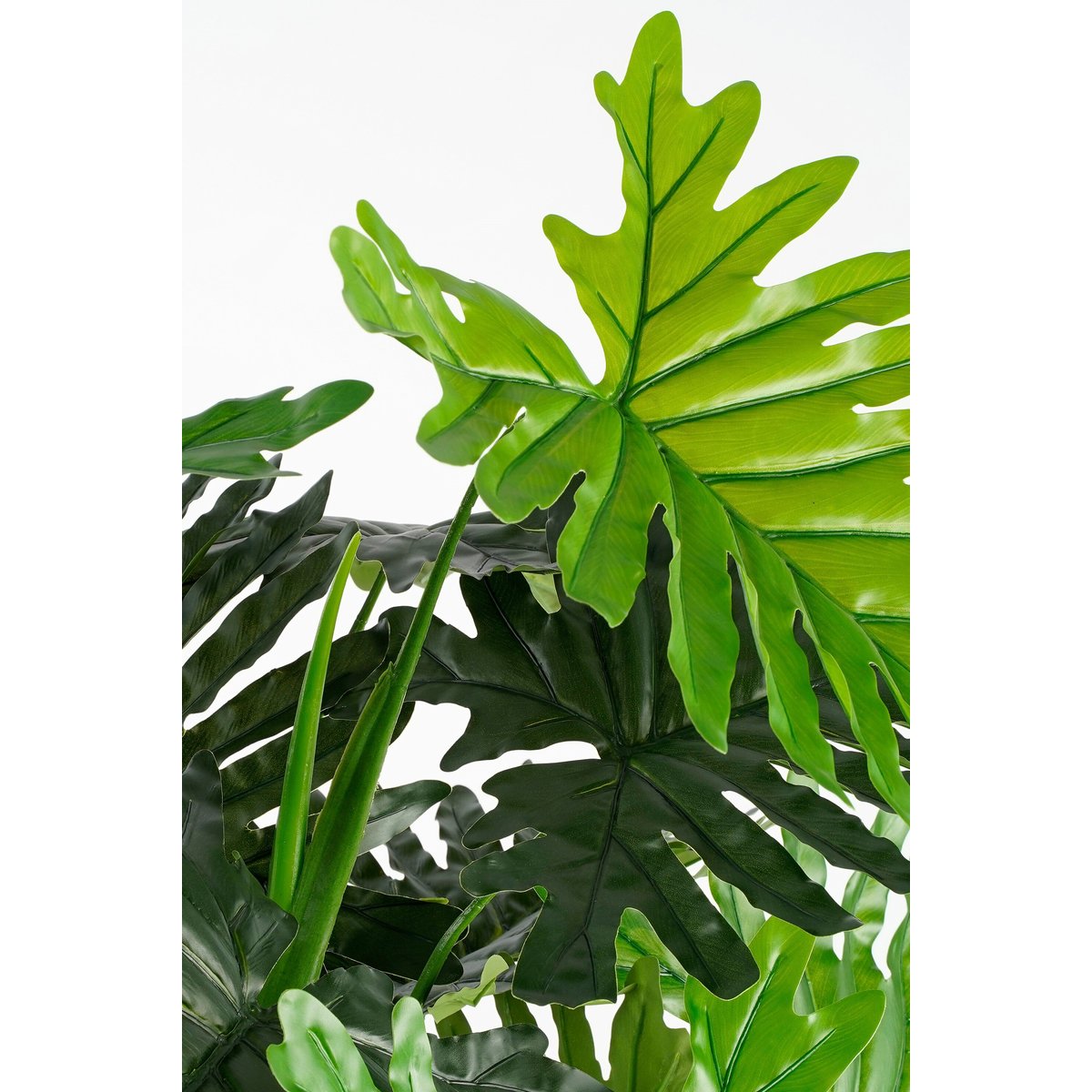 Plante artificielle PHILODENDRON vert, MICA DECORATIONS
