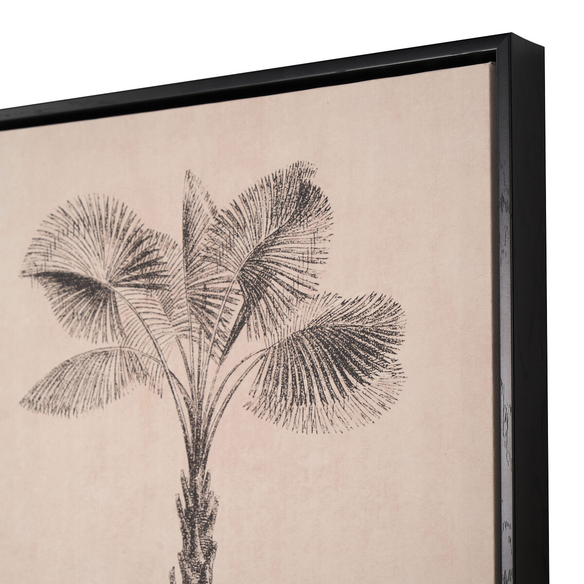 Set of 3 Natural and Black Palm Tree Print Canvases with Black Frames natural, SO'HOME
