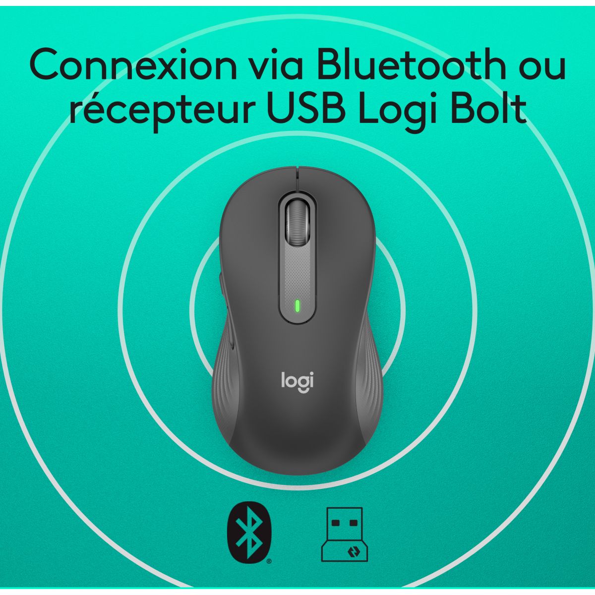 Souris sans fil Signature M650 Graphite gris, LOGITECH