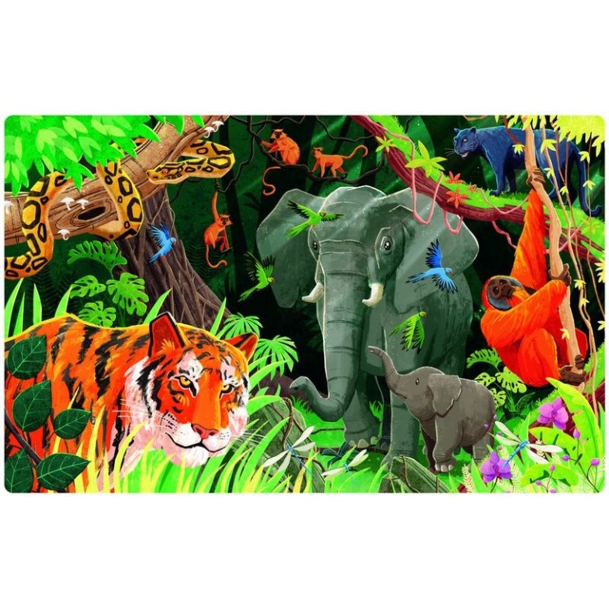Puzzle & Livre La planète en danger, La jungle orange, SASSI