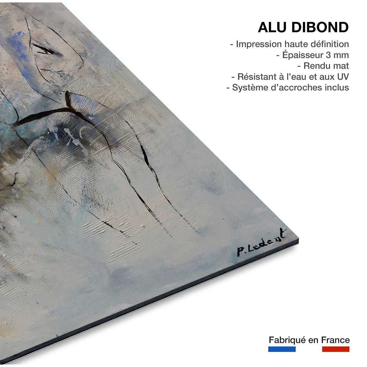 Tableau nue de dos tableau alu dibond, HEXOA