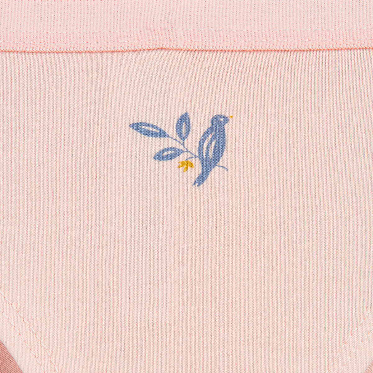 Pack of 5 Detailed Knickers assorted, LA REDOUTE COLLECTIONS
