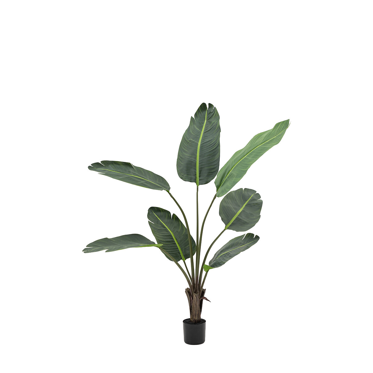 4ft Potted Travellers Palm Tree green, ÉDITÉ