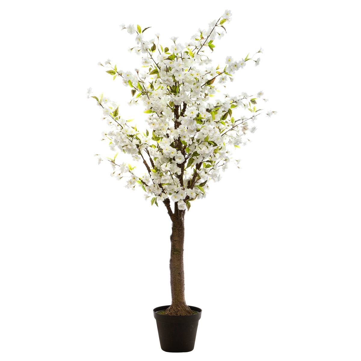 Cerisier artificiel blanc, ATMOSPHERA