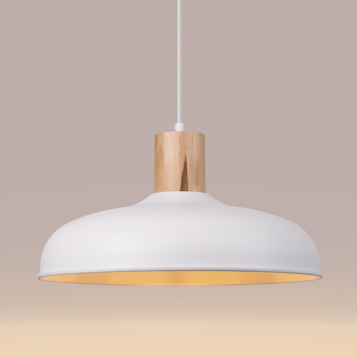 Suspension Acier Blanc E27 1 Indy blanc, EDEN