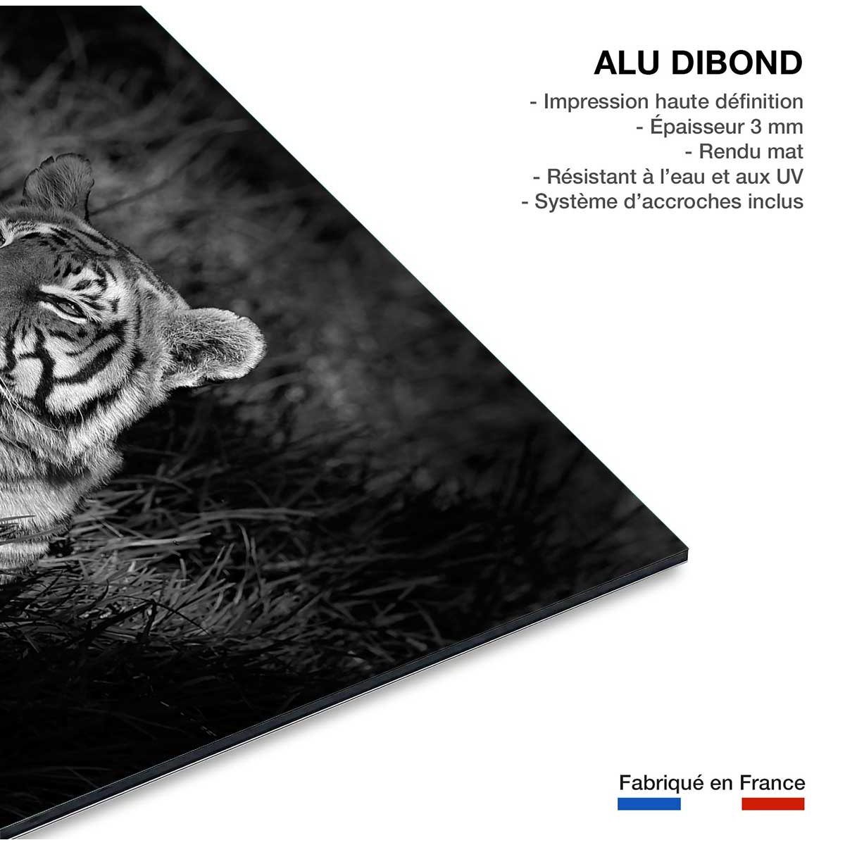 Tableau tigre tableau alu dibond, HEXOA