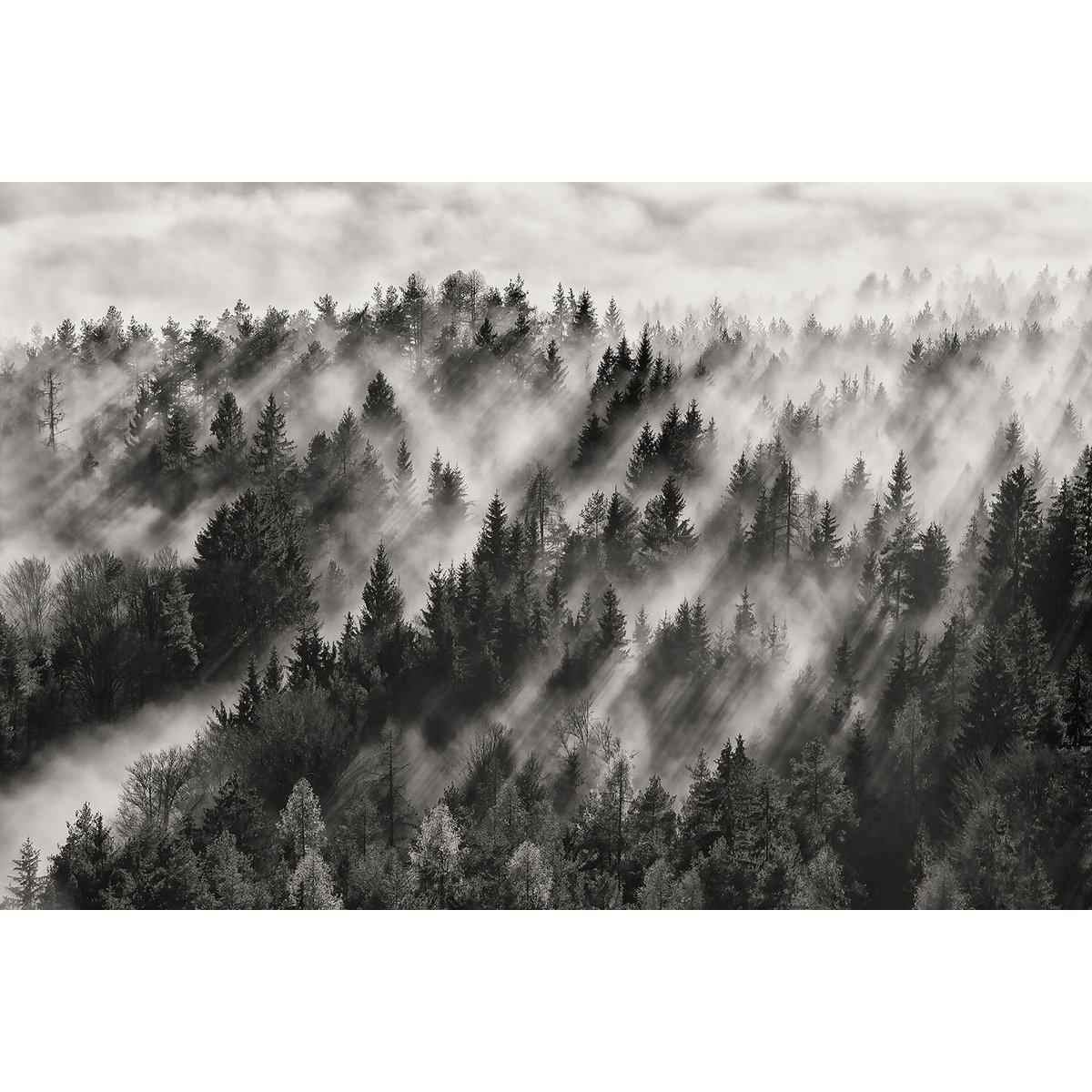 Tableau rayons de lumière tableau alu dibond, HEXOA