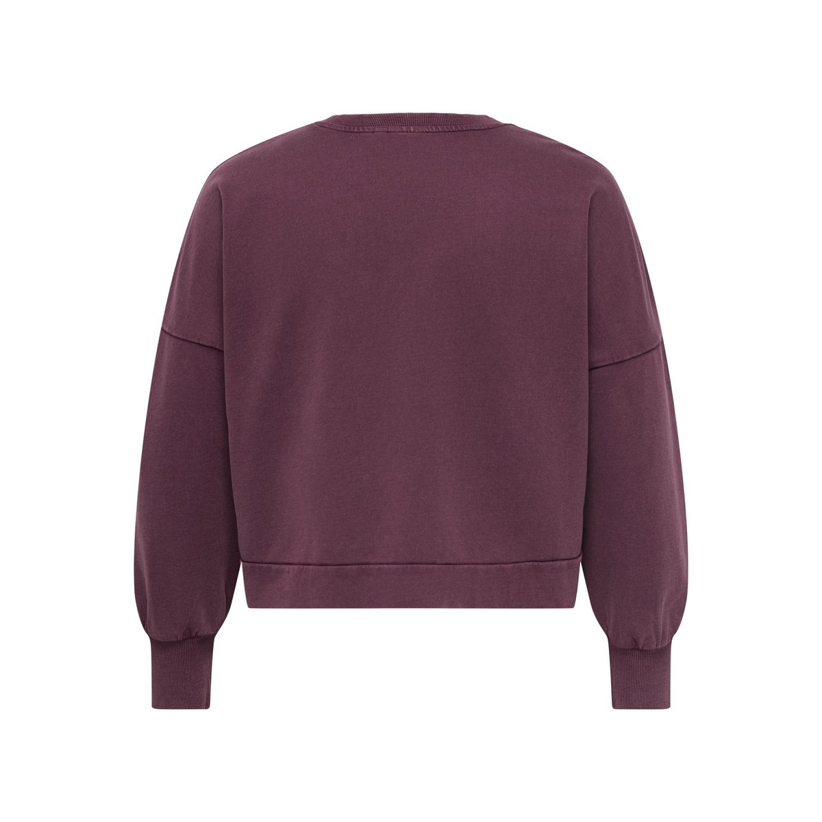 Sweat-Shirt violette - fig 1, ONLY CARMAKOMA