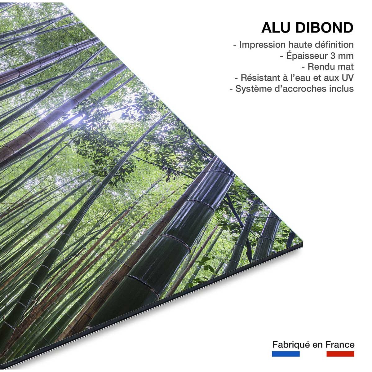Tableau zen Bambous Geants tableau alu dibond, HEXOA