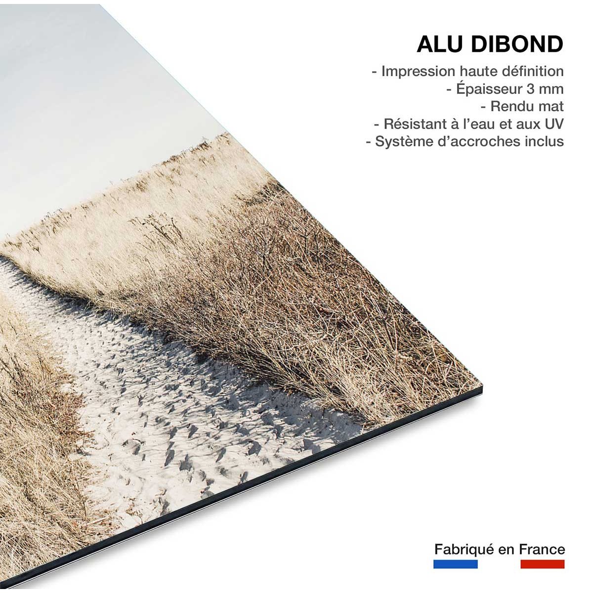 Tableau mer chemin dans la dune tableau alu dibond, HEXOA