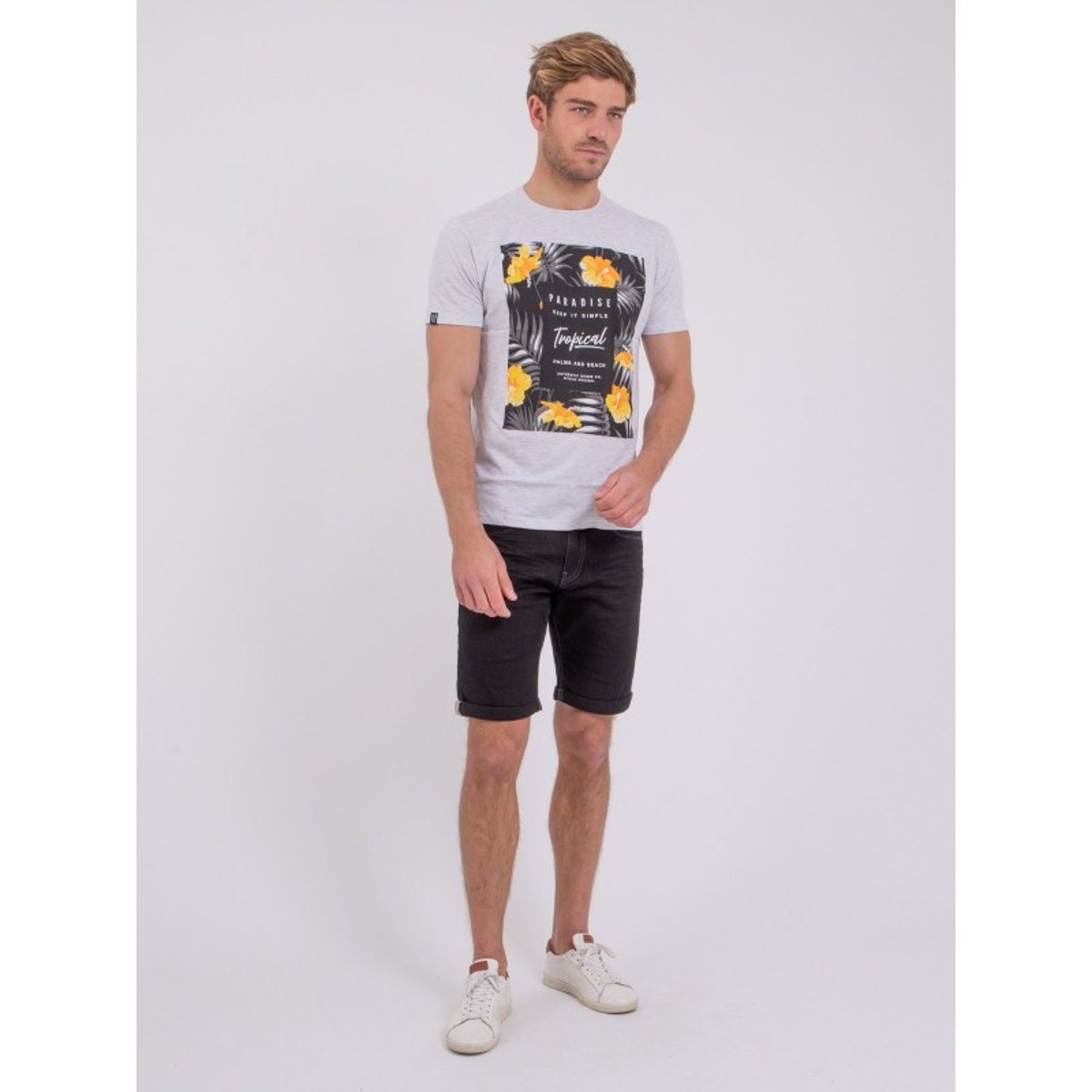 T-shirt Manches Courtes Col Rond Pur Coton Noctavio gris, RITCHIE