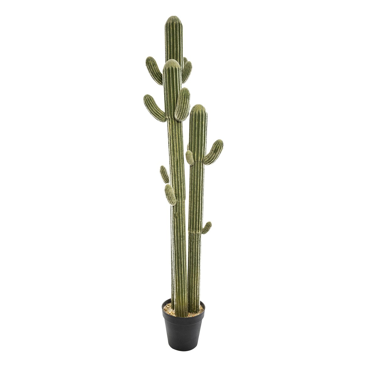Cactus artificiel en pot 207 cm vert, PIER IMPORT