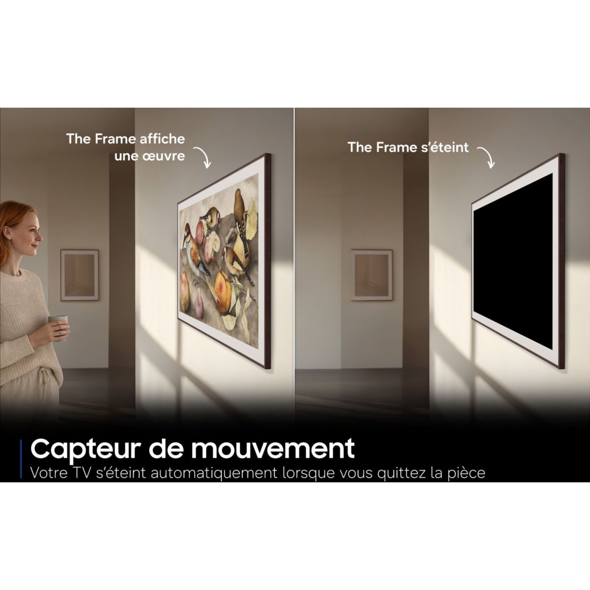 TV QLED The Frame TQ65LS03HA (2026) 65" (163 cm) 4K - Mode art (effet tableau), boîtier déporté, anti-reflet couleur unique, SAMSUNG