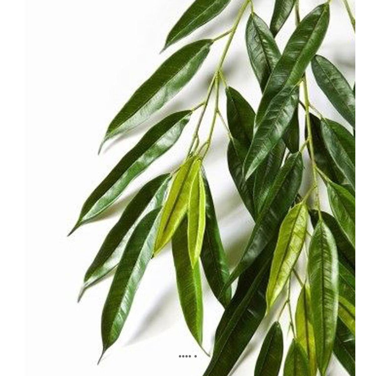 Branche de longifolia royal artificielle L 85 v002239, ARTIFICIELLES