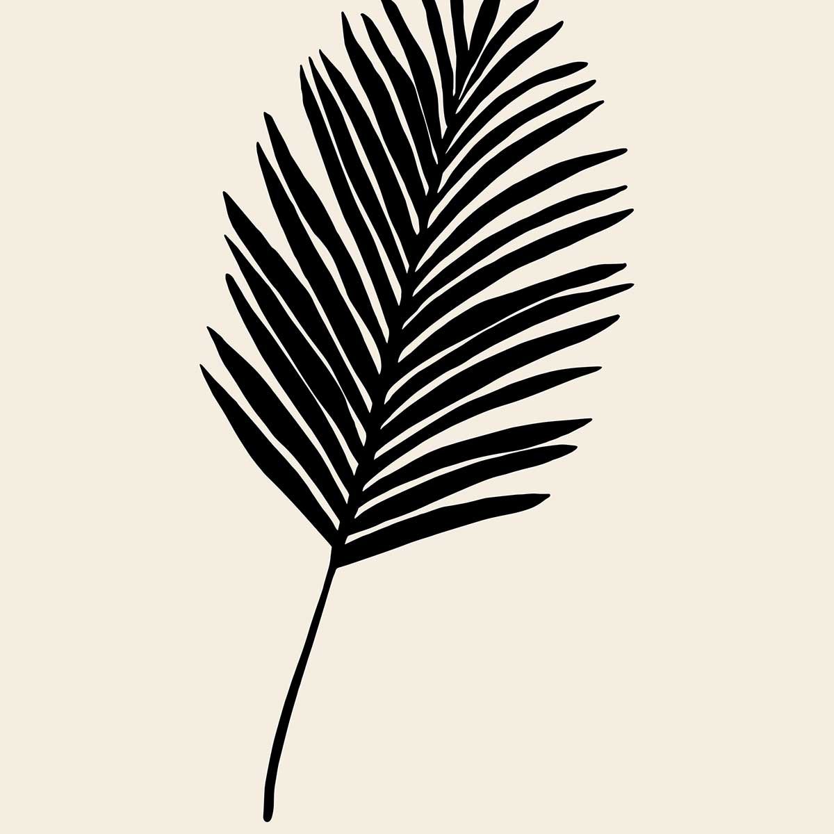 Tableau black palm tableau alu dibond, HEXOA