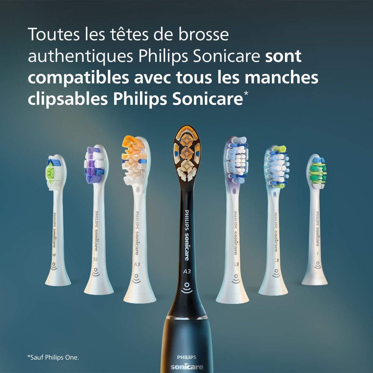 Brossette dentaire Sonicare lot de 6 InterCare blanc couleur unique, PHILIPS
