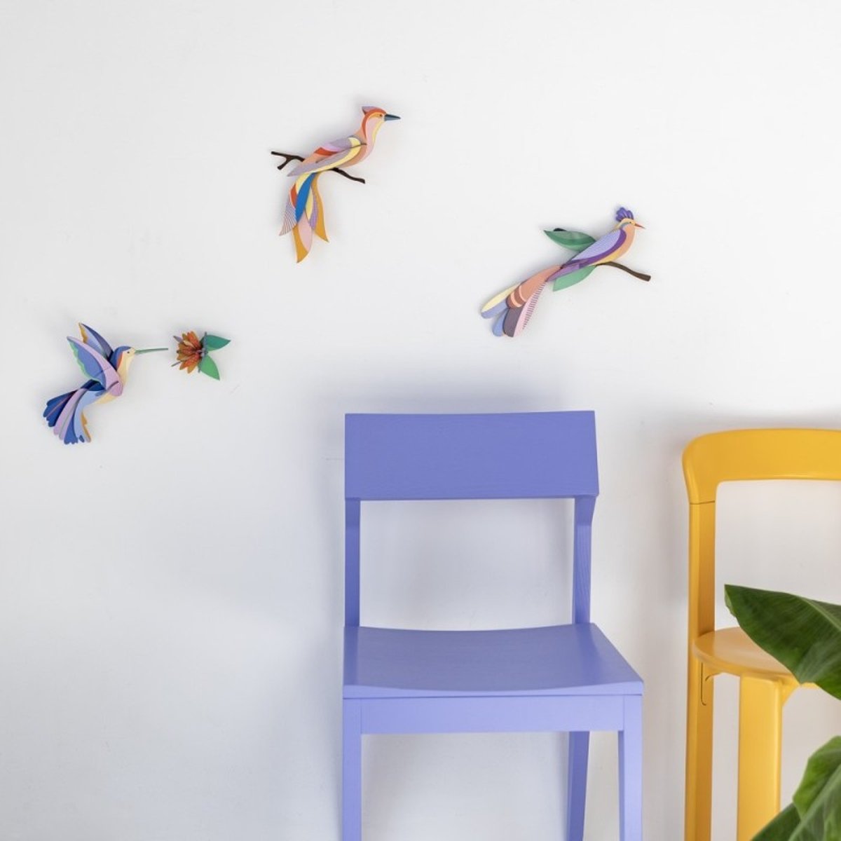 Oiseau de paradis décoratif carton  Paradise Bird Bisa multicolore, STUDIO ROOF