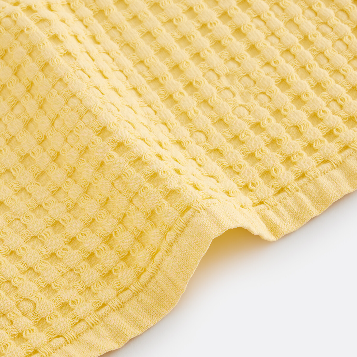 Asciugamano cotone nido d'ape Tifli giallo pallido, LA REDOUTE INTERIEURS
