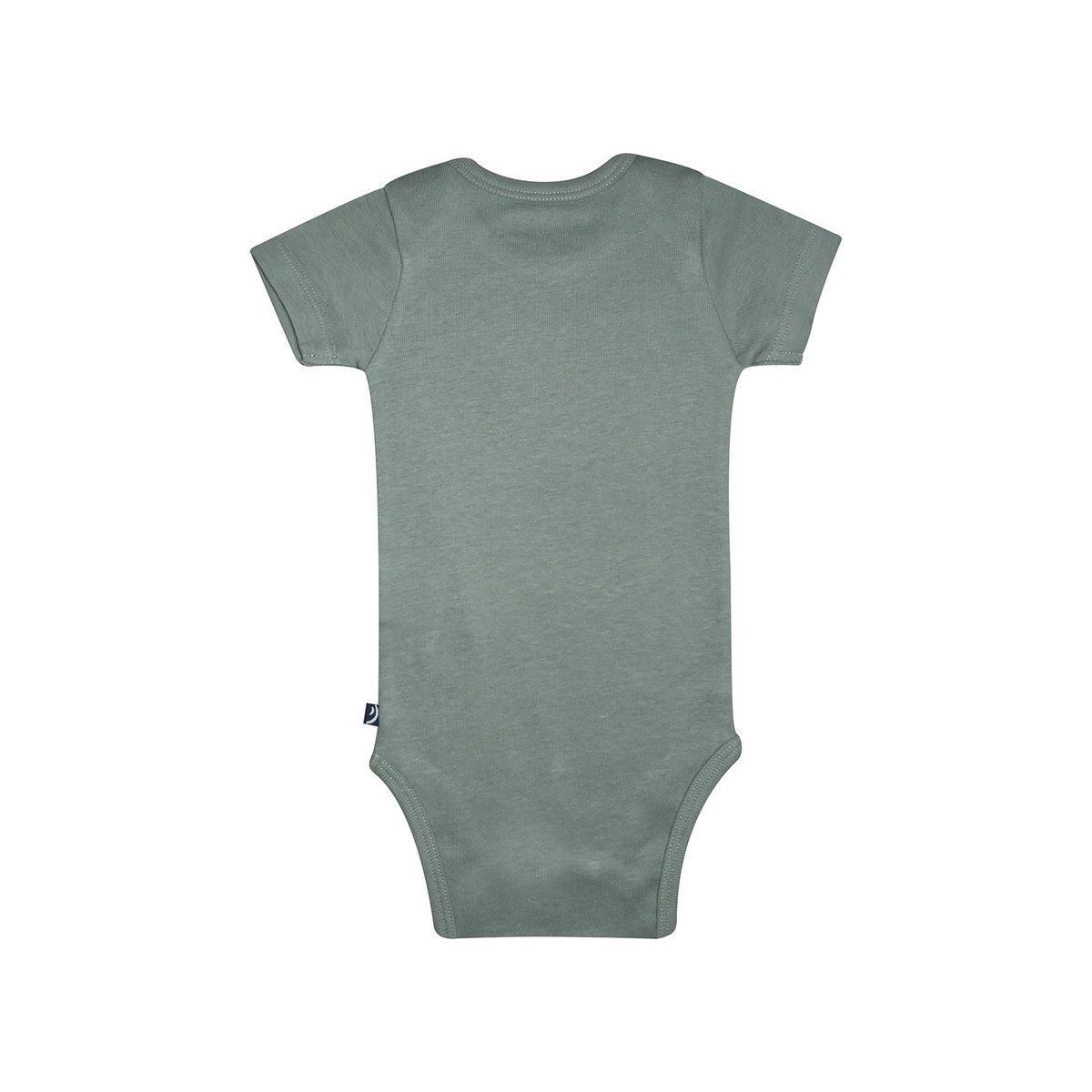 Lot de 3 bodies omar manches courtes vert, SUCRE D'ORGE
