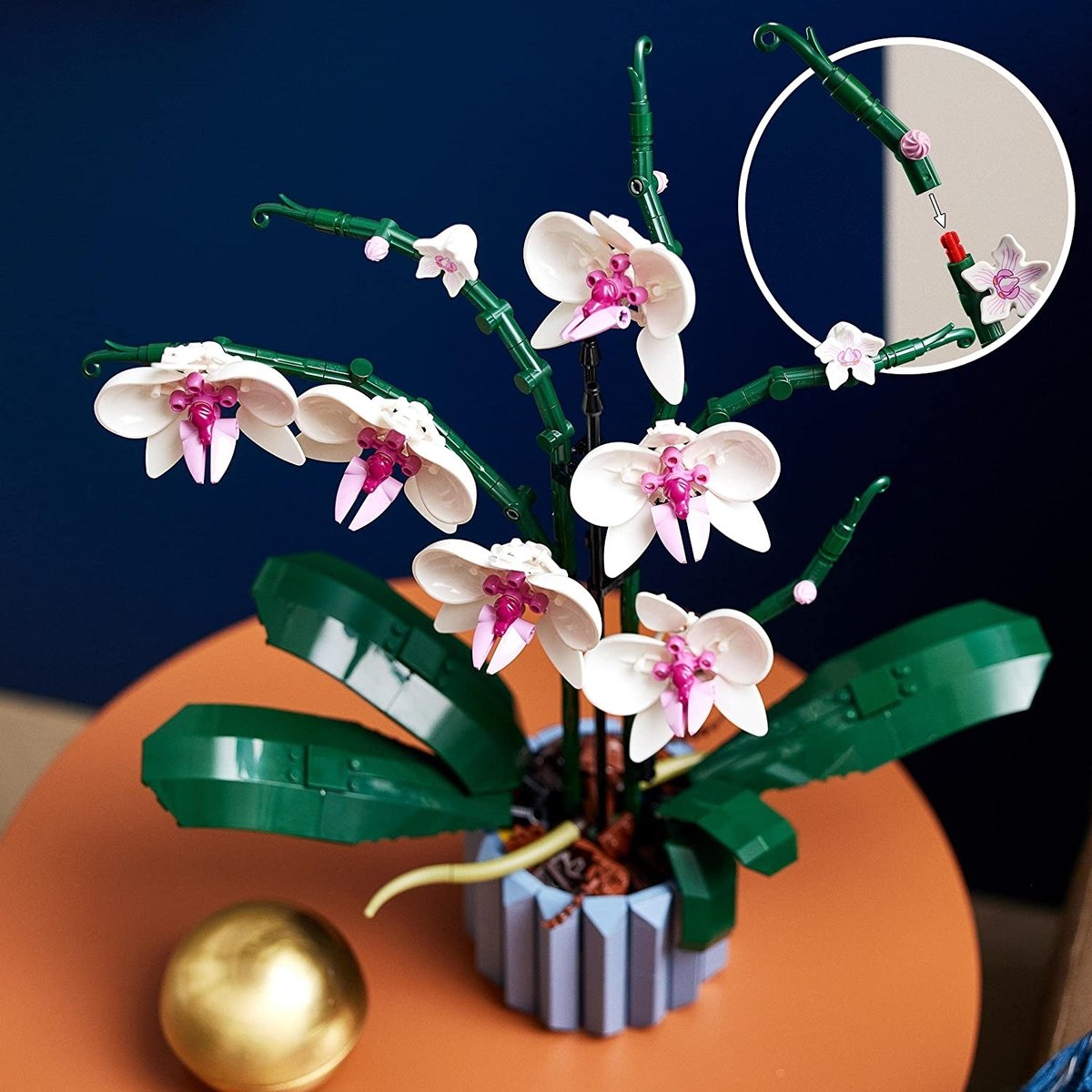 LEGO Botanicals - LEGO Creator - L'orchidée - 10311 blanc, rose, bleu, marron, LEGO