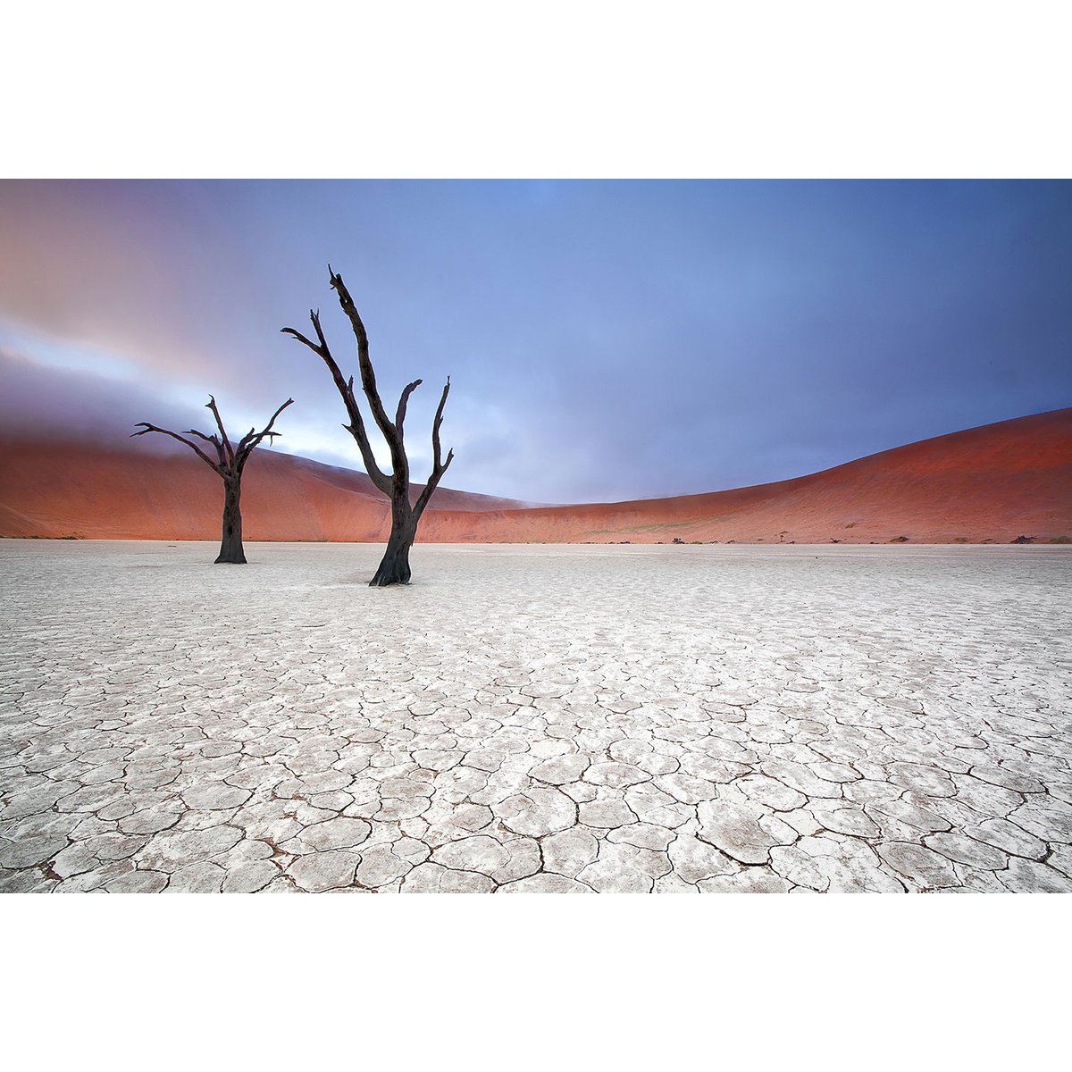 Tableau de Namibie, Le deadvlei tableau alu dibond, HEXOA