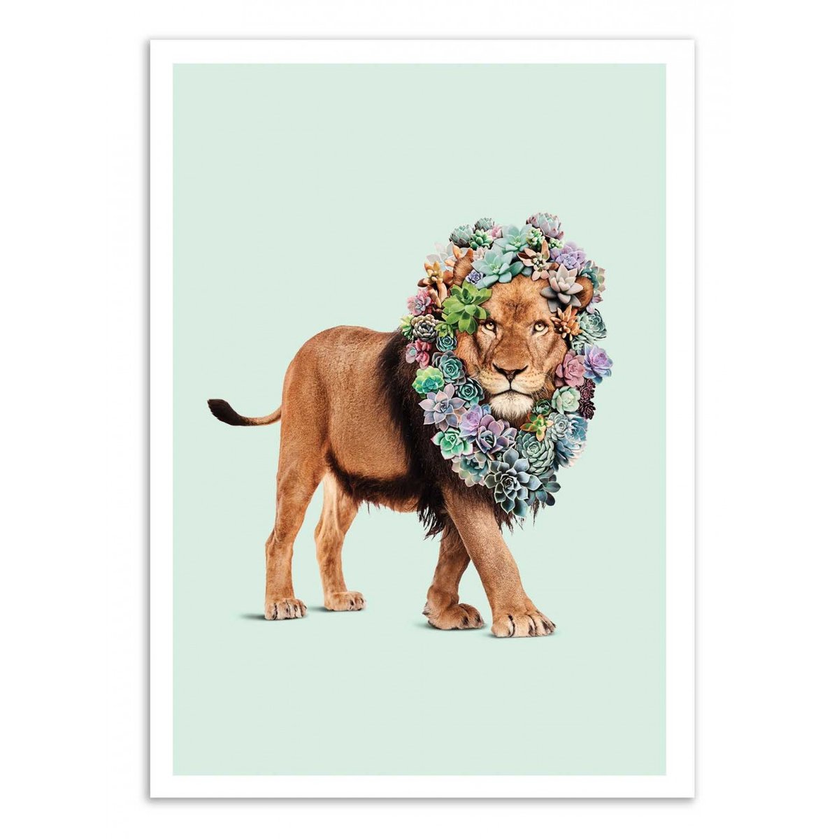 Affiche d'art - Succulent lion - Jonas Loose affiche d'art, WALL EDITIONS