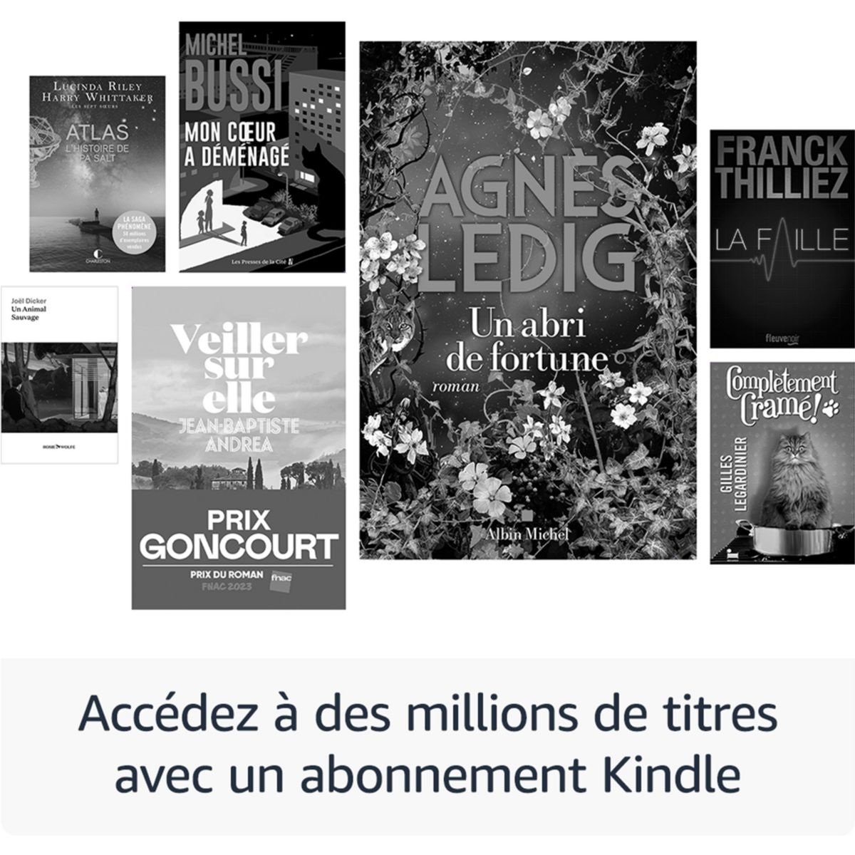 Liseuse eBook Kindle Paperwhite 16 Go Rose couleur unique, AMAZON