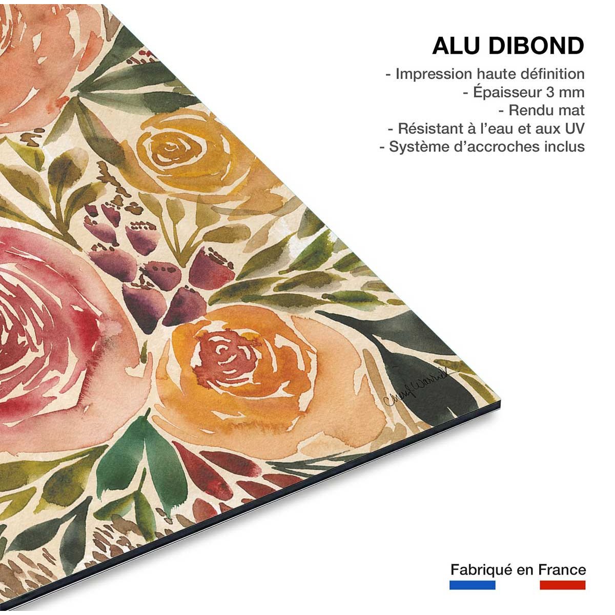 Tableau roses merveilleuses tableau alu dibond, HEXOA