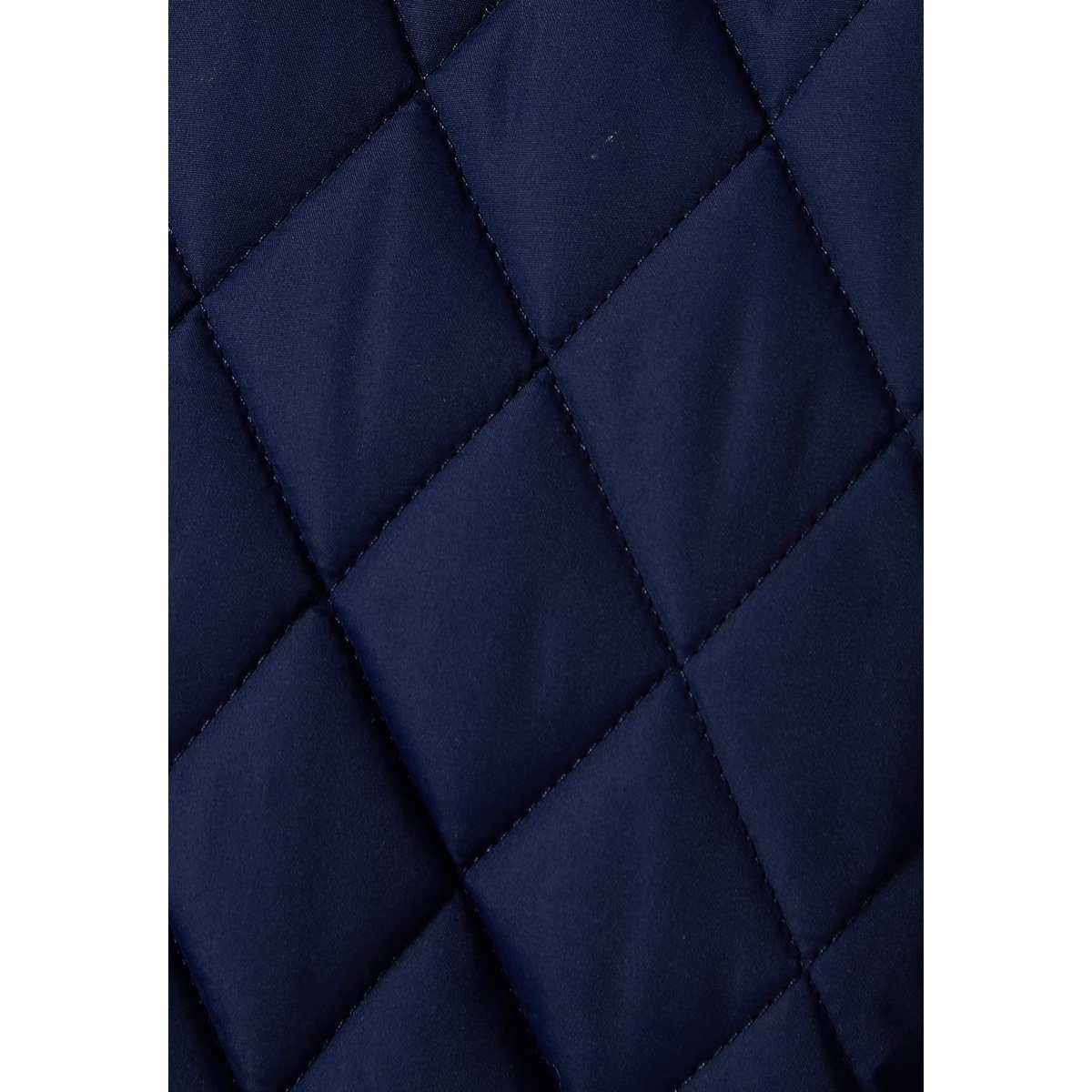 Blouson Thermolactyl matelassé bleu marine, DAMART