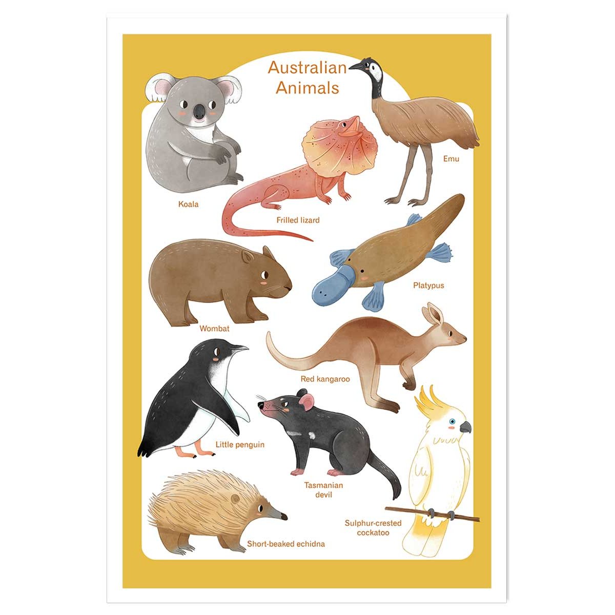 Affiche enfant animaux d' australie affiche seule, HEXOA