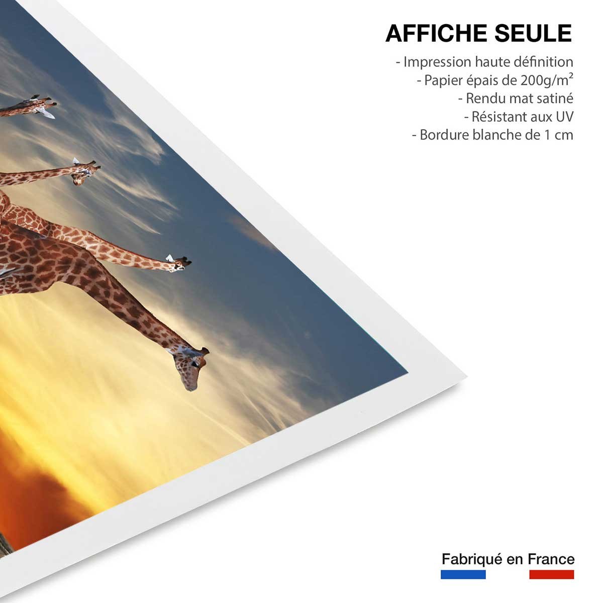 Affiche animaux girafes meeting affiche seule, HEXOA