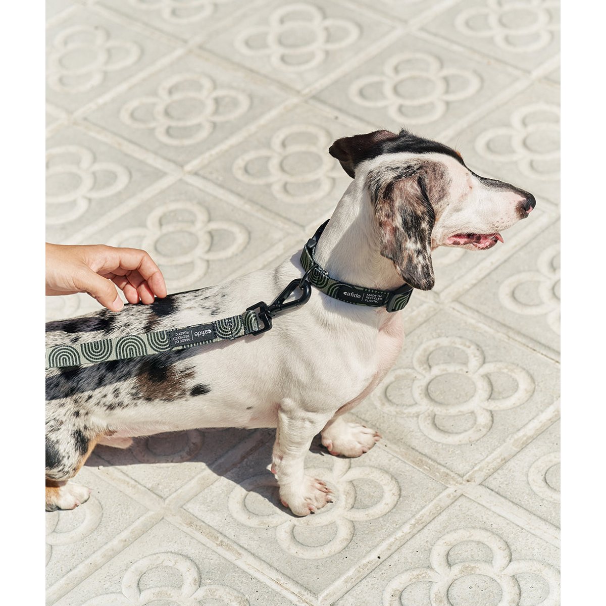 Collier PET recyclé japan design, JUNO vert, CAFIDE