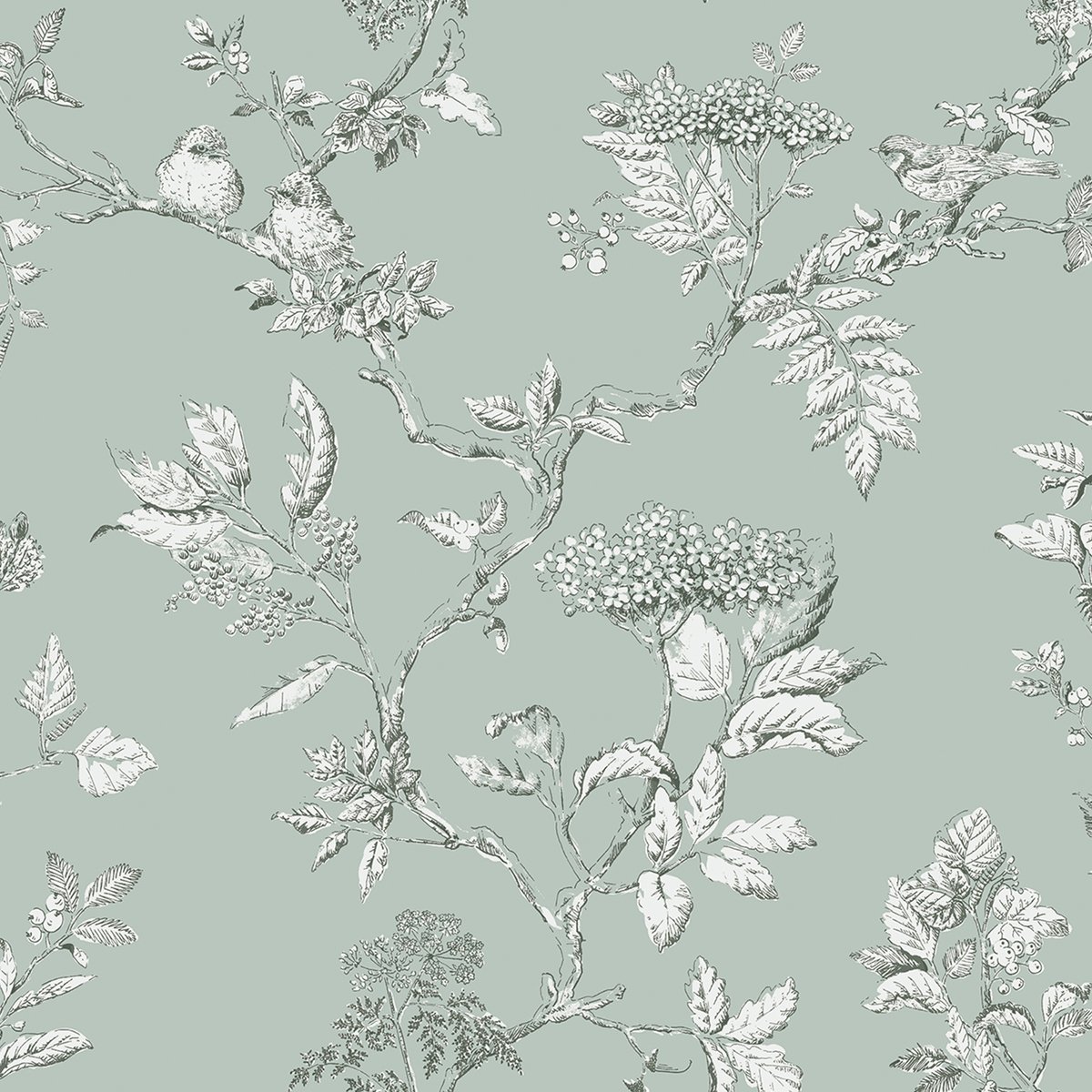 Papier peint Branches de sureau Elderwood vert bleuté, LAURA ASHLEY