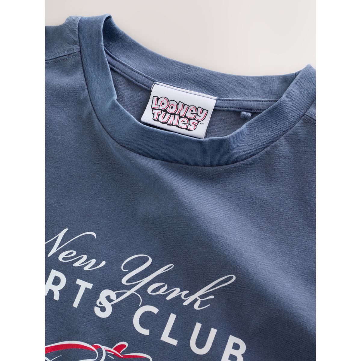 T-shirt looney tunes sous licence bleu marine, NEXT