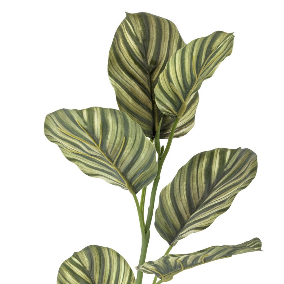 Plante artificielle tige  Zebra vert, BLOOMINGVILLE