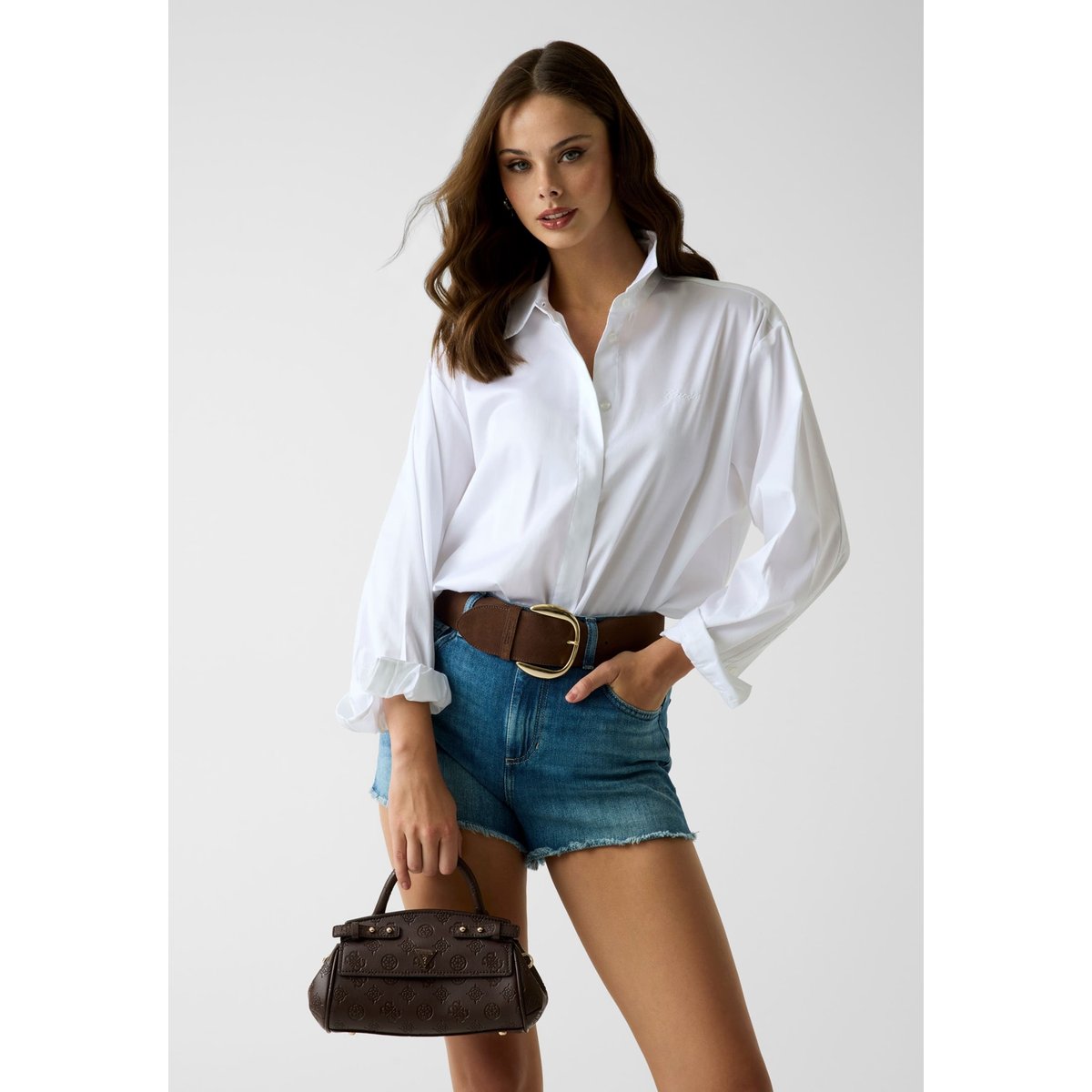 Sac À Main Diana marron, GUESS
