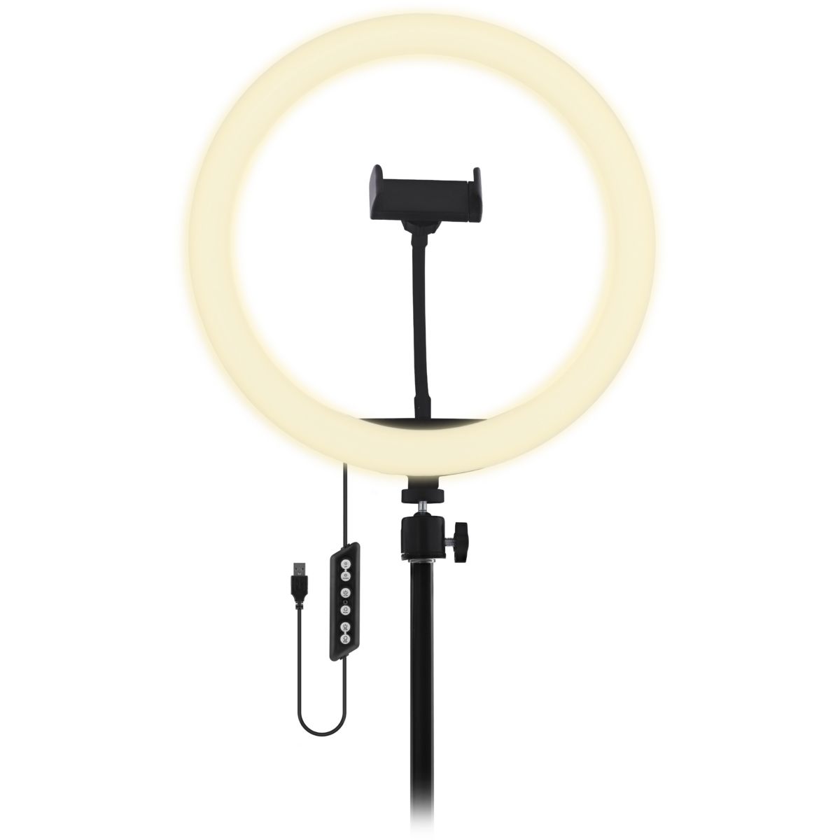Lampe LED Influence Anneau led 12'' couleur unique, TNB