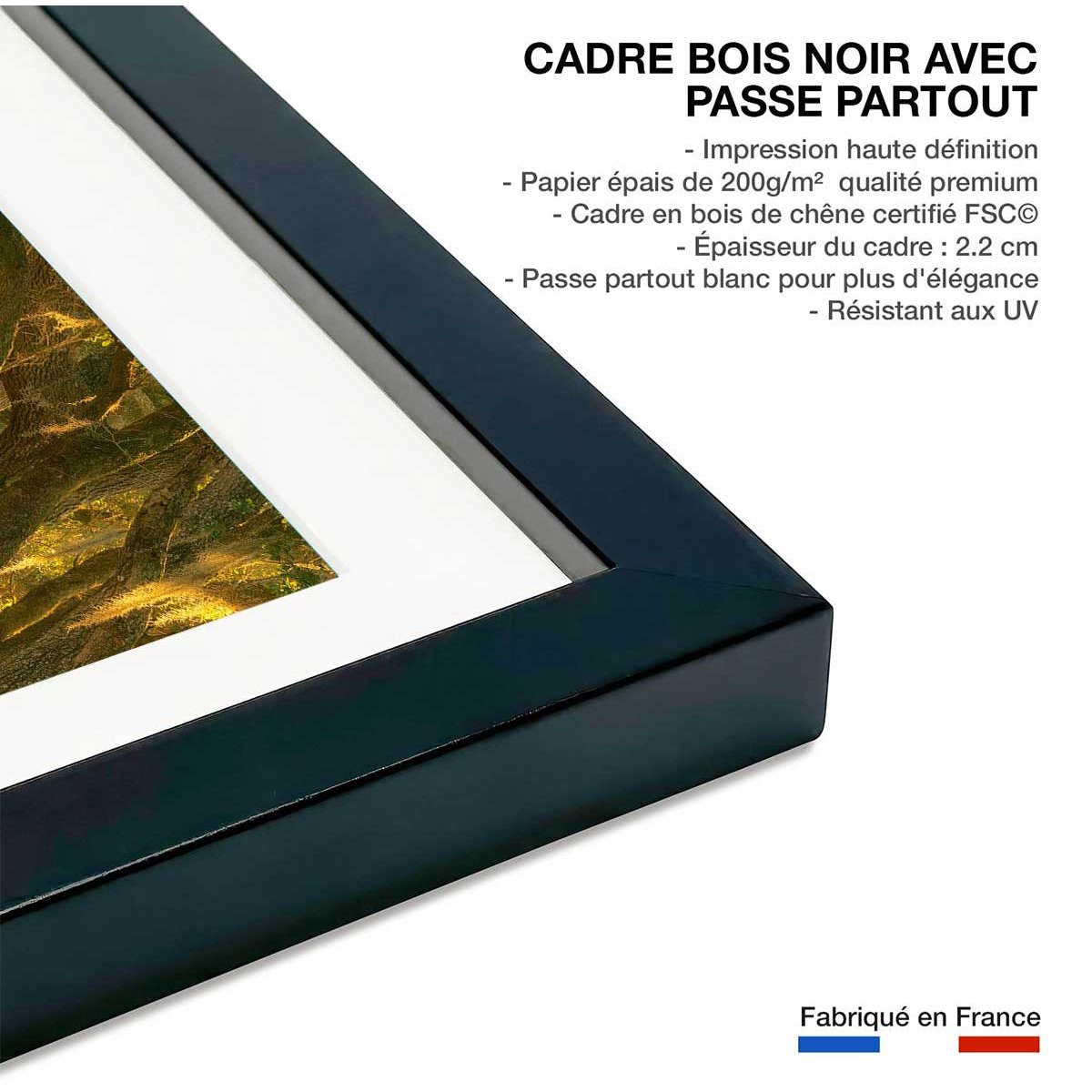 Affiche ""Allee enchanteresse"" affiche + cadre en bois - noir, HEXOA