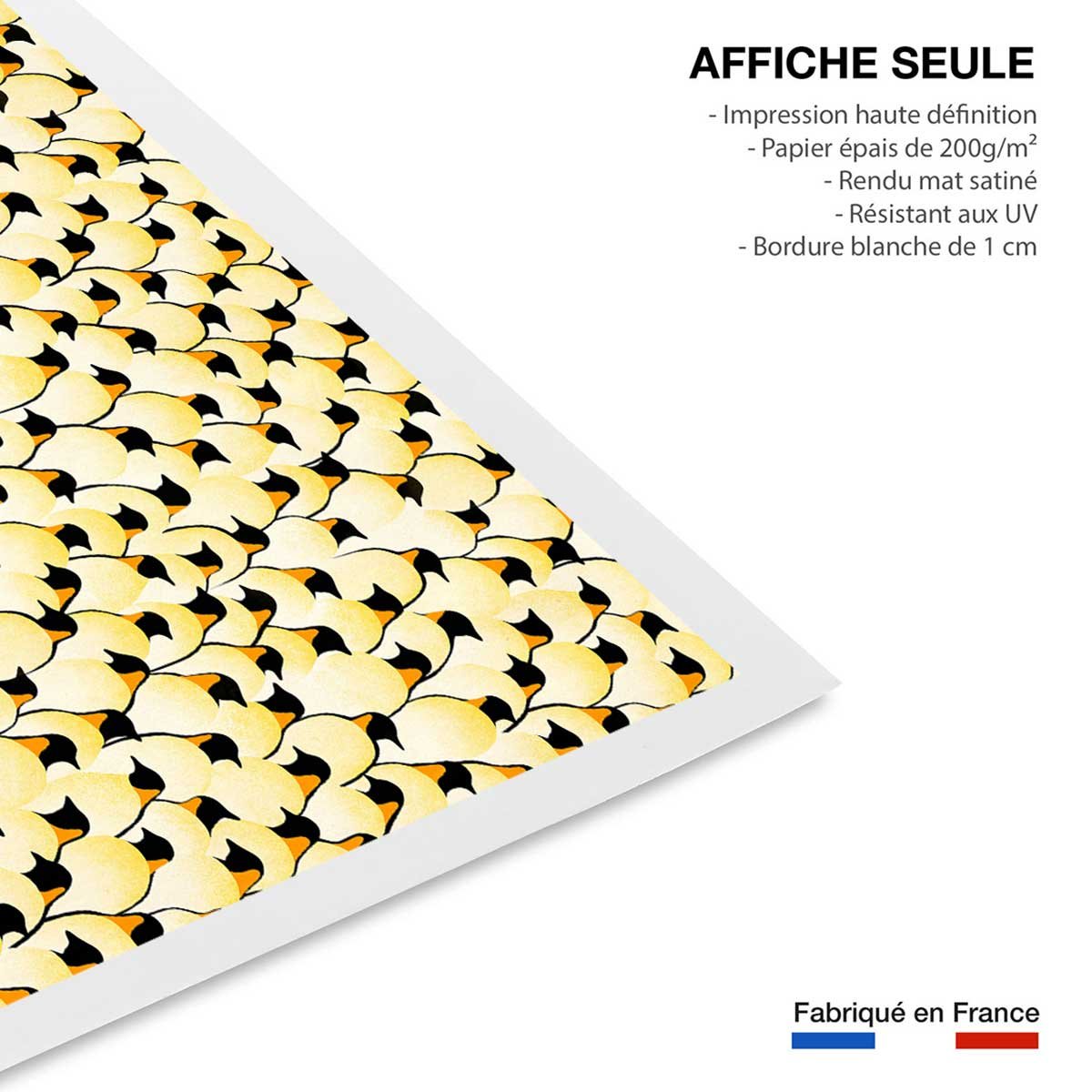 Affiche enfant pingouins affiche seule, HEXOA