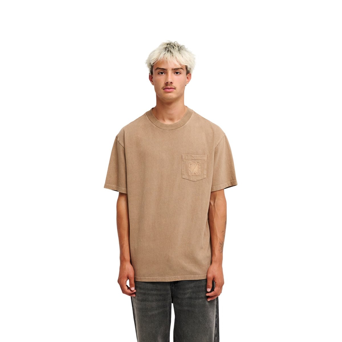 T-Shirt manches courtes GUANA WASHED marron pine bark, QUIKSILVER