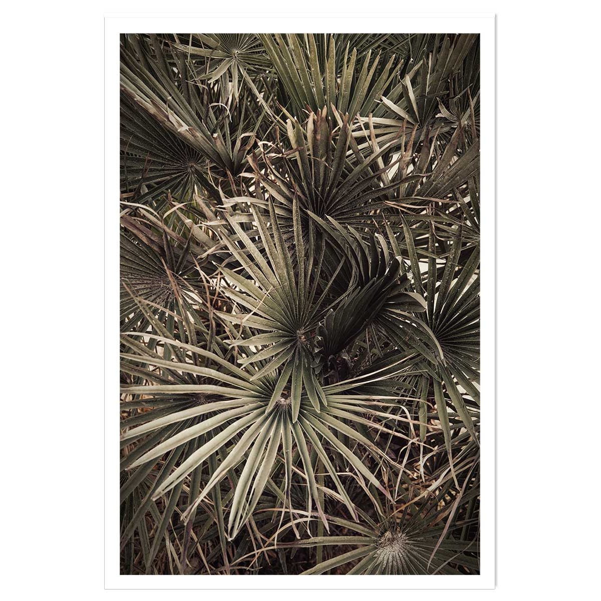 Poster tropicana mood affiche seule, HEXOA
