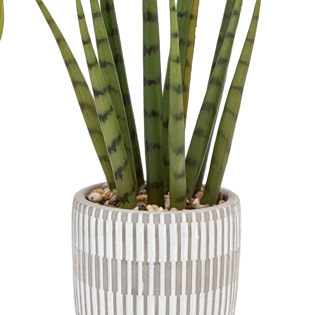 Set of 2 Small Succulents in Ceramic Pots natural, ÉDITÉ