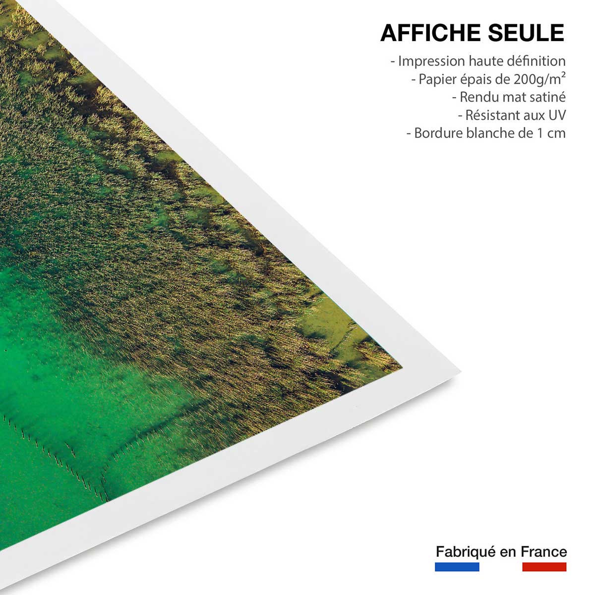 Affiche végétaux et flore aquatique affiche seule, HEXOA