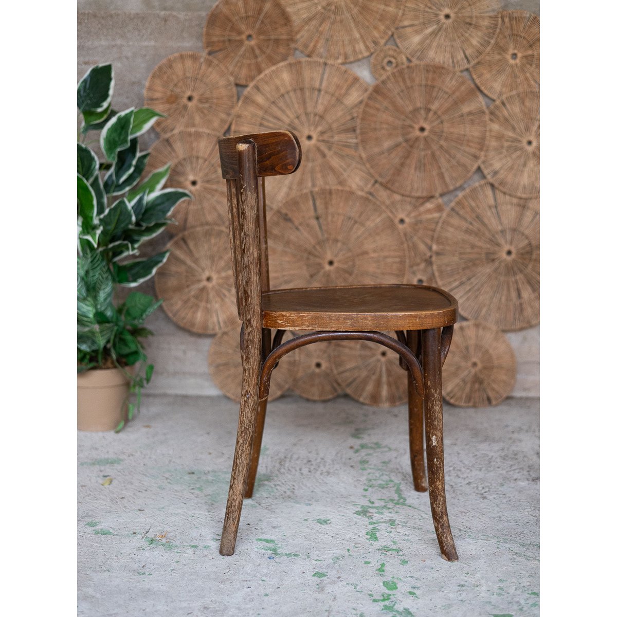 Paire de chaises bistrot Alma N°2043 - Bon état bois foncé, DEBONGOUT