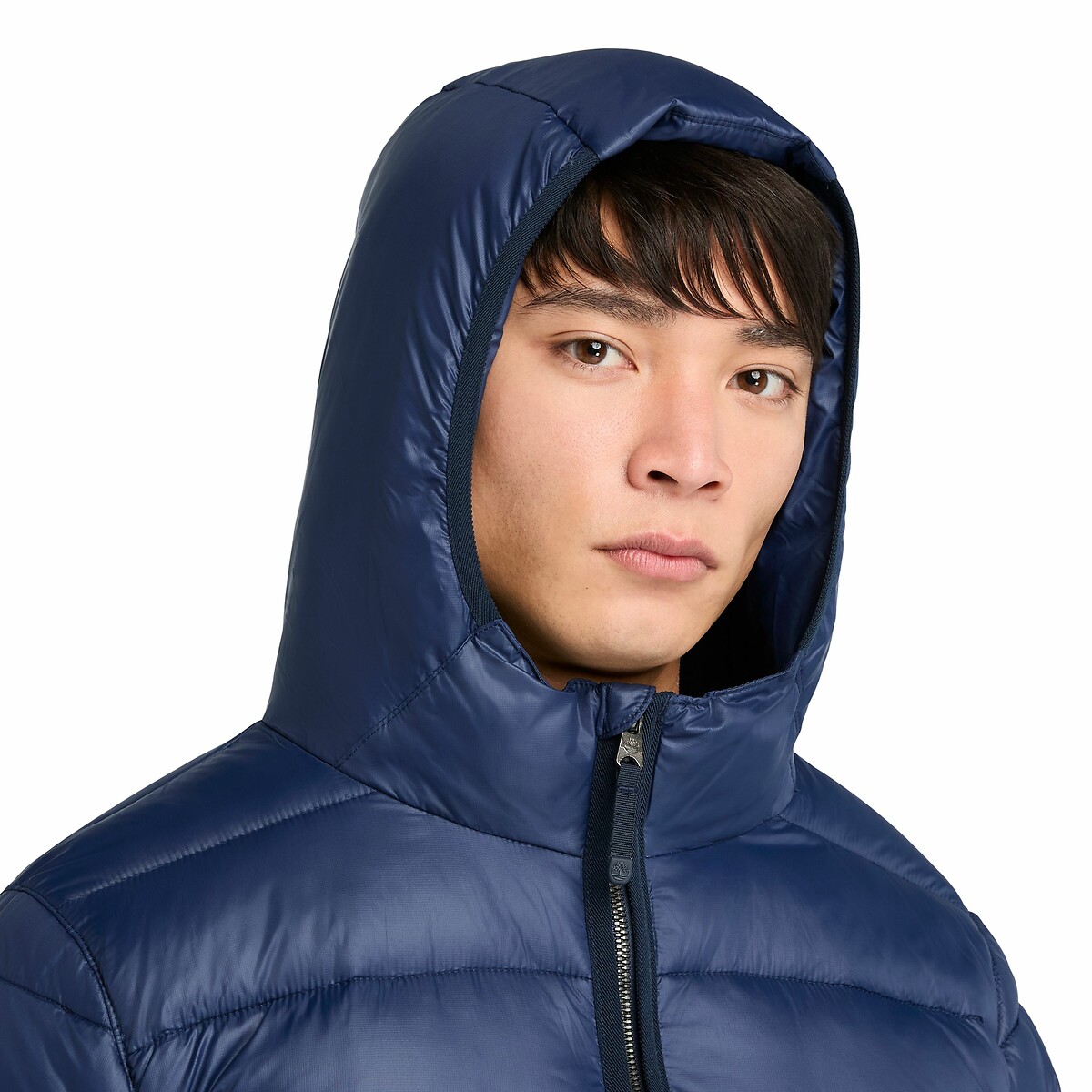 Korte donsjas marineblauw, TIMBERLAND