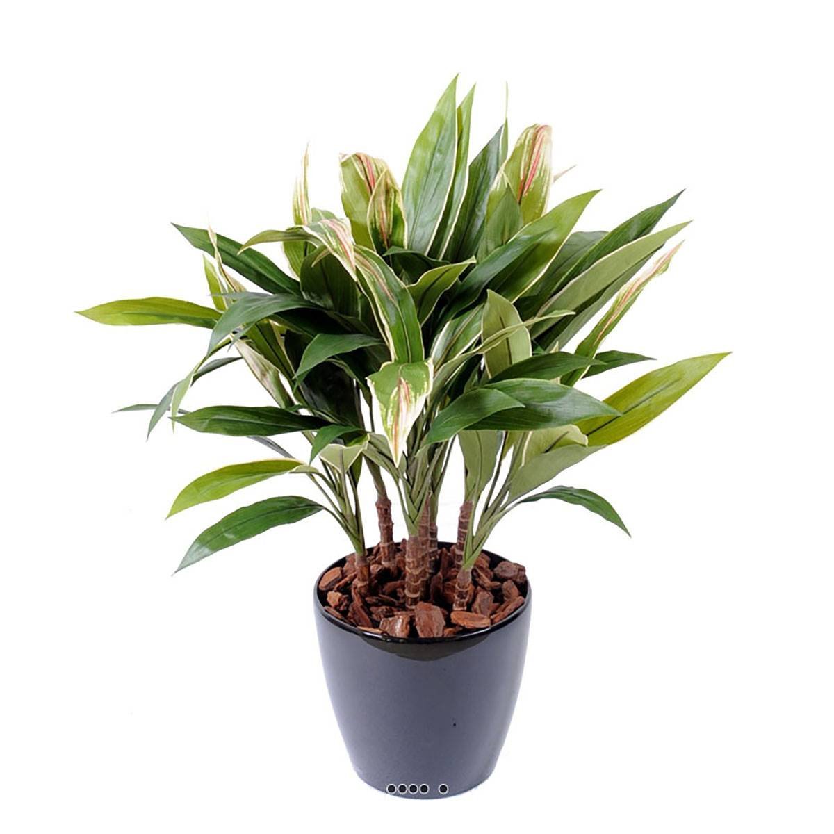 Dracaena artificiel type cordyline en pot H 8 vert, ARTIFICIELLES