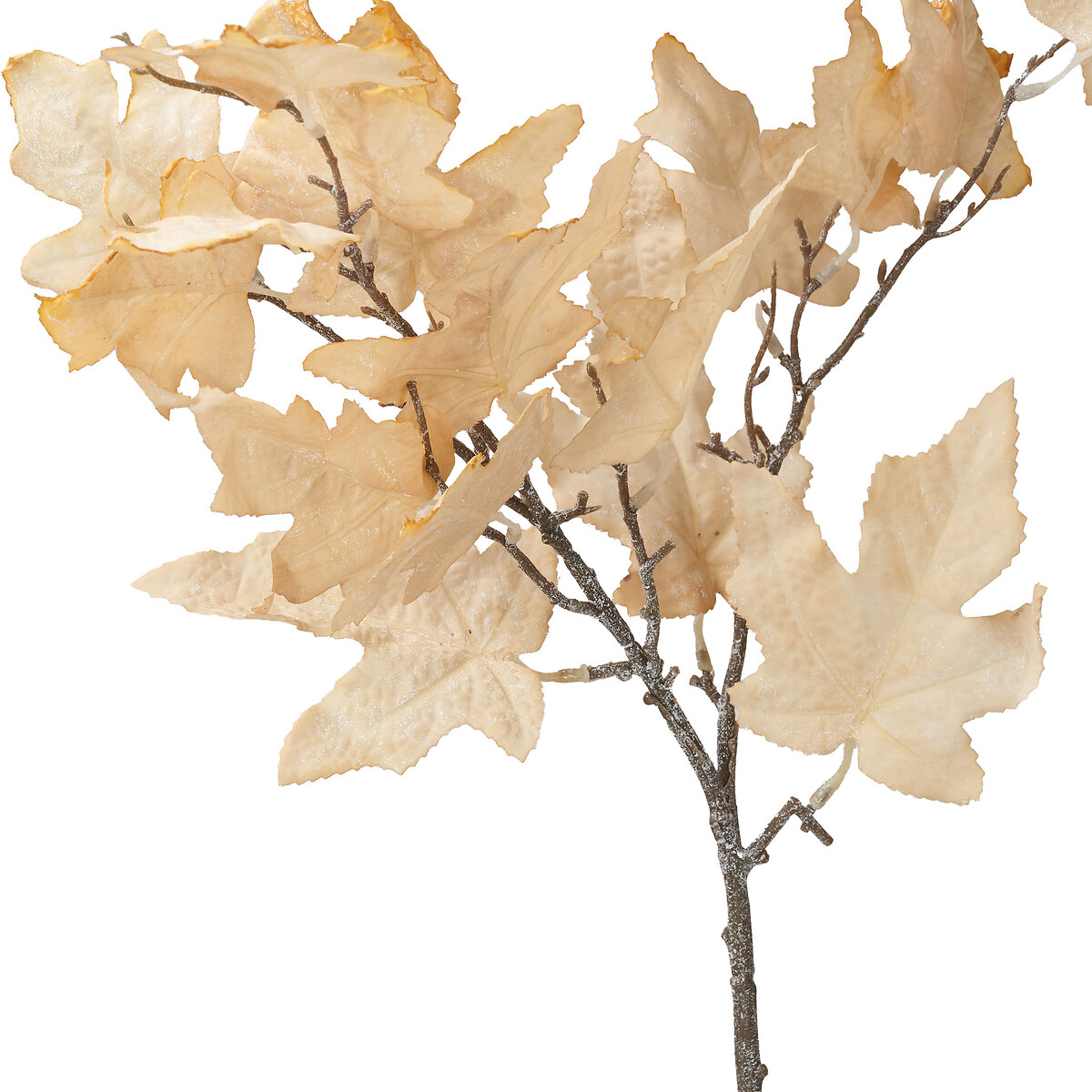 Set of 6 82cm Natural Apricot Maple Leaf Stems natural, ÉDITÉ